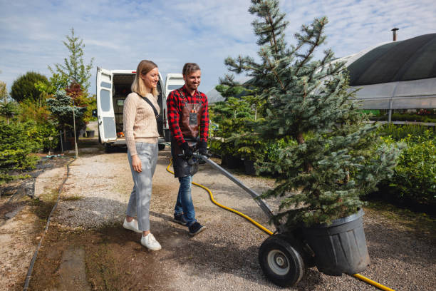 Best Palm Tree Trimming  in Cisco, TX